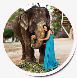 泰国旅游大象装饰图案素材