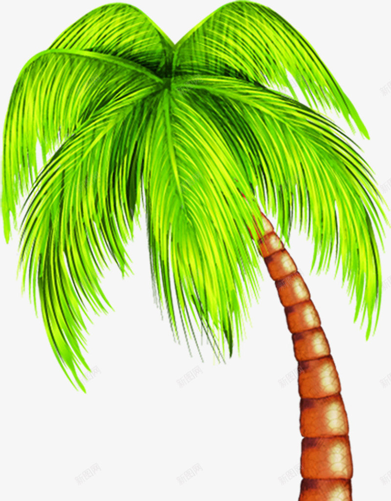 手绘夏日卡通沙滩椰子树png免抠素材_新图网 https://ixintu.com 卡通 夏日 椰子树 沙滩