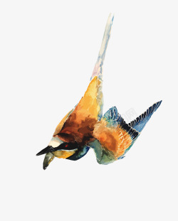 水彩手绘鸟素材