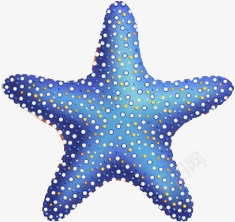 蓝色沙滩海边海星手绘png免抠素材_新图网 https://ixintu.com 沙滩 海星 海边 蓝色