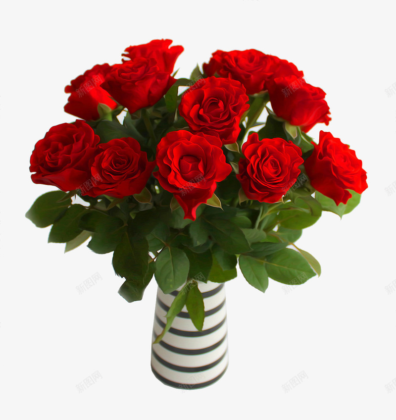 花瓶中的玫瑰png免抠素材_新图网 https://ixintu.com 室内装饰 玫瑰红色 红色玫瑰花 绿色叶子 花瓶
