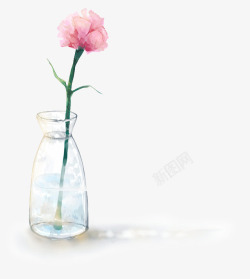 阳光下的花朵花瓶高清图片
