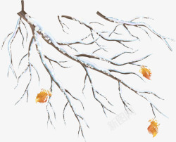 树头雪天的树枝高清图片
