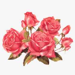 花束手绘玫瑰花插画图标高清图片
