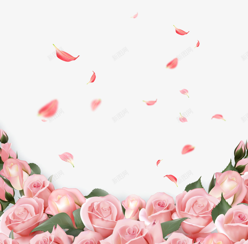 粉色玫瑰花png免抠素材_新图网 https://ixintu.com 叶子 延缓衰老 植物 玫瑰丛 玫瑰花 粉色花朵 背景装饰 花瓣