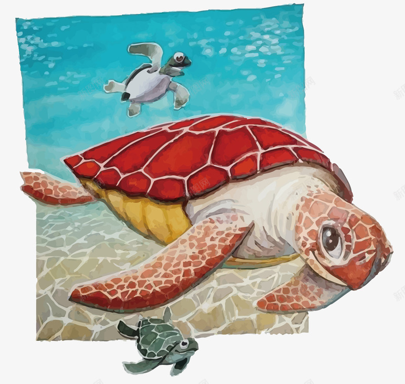 海龟矢量图eps免抠素材_新图网 https://ixintu.com 卡通 大海 彩绘 手绘 水彩 海生生物 海龟 矢量图