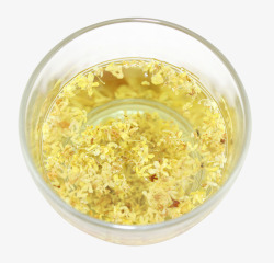 养生桂花茶素材