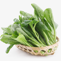 新鲜青菜一竹篮新鲜的绿色广东菜心实物免高清图片