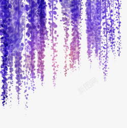 细长紫藤花构成的帘高清图片