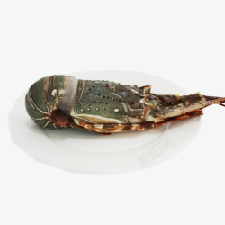 鲜嫩海鲜澳洲小青龙虾高清图片