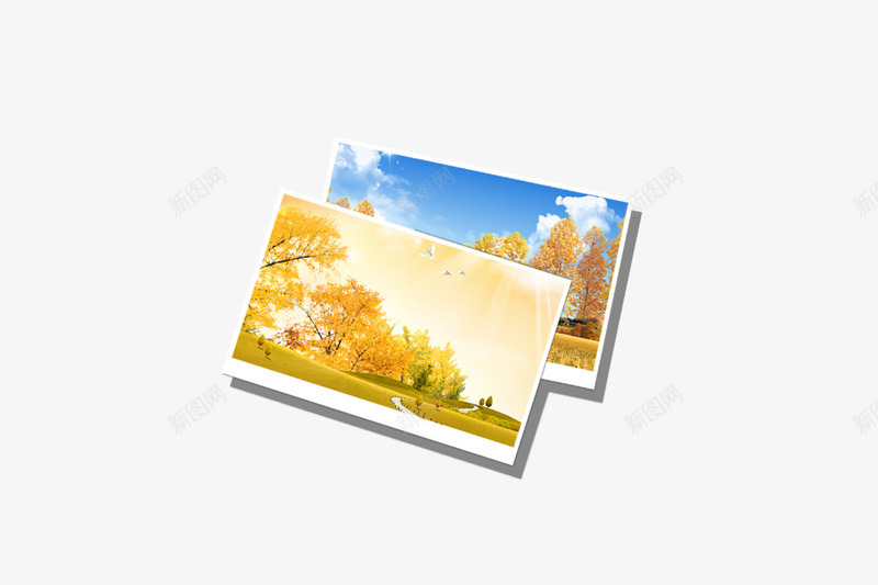 相片png免抠素材_新图网 https://ixintu.com 相框 相片 装饰素材 风景画