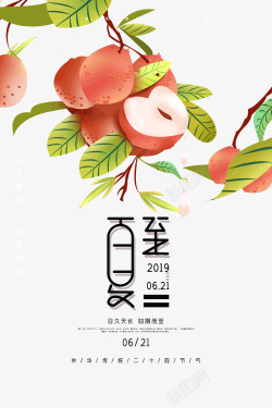 香山水蜜桃夏至水蜜桃成熟季节高清图片