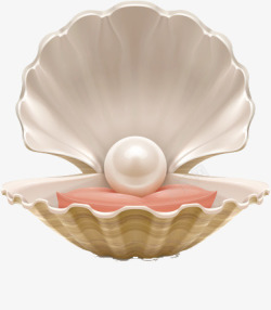 珍珠化妆品蚌和珍珠高清图片