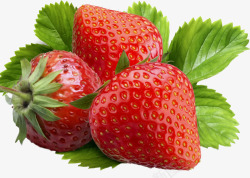 鲜石斛草莓鲜草莓草莓绿叶草莓高清图片
