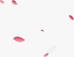 粉红花瓣漂浮飘落不规则装饰素材