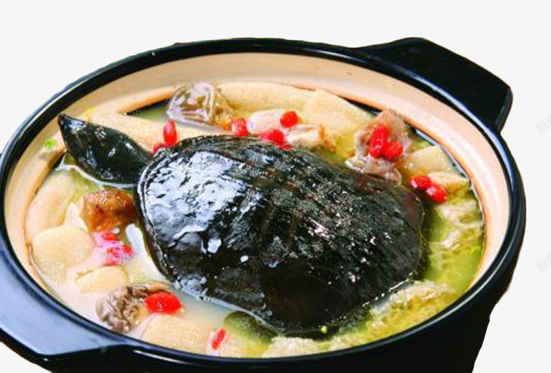 美味野生甲鱼料理png免抠素材_新图网 https://ixintu.com 五味俱全 口齿留香 流口水 美味 色味俱全 野生甲鱼