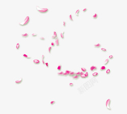 节节情节节玫瑰花瓣漂浮高清图片