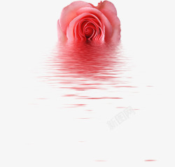 水纹手绘手绘水纹玫瑰花朵高清图片