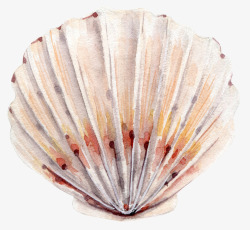 大海贝壳水墨扇形贝壳手绘图高清图片