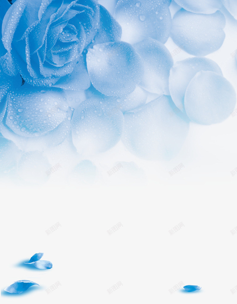 蓝色玫瑰背景图案png免抠素材_新图网 https://ixintu.com 玫瑰 蓝色 装饰