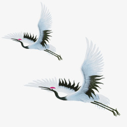 动物免扣PNG图飞行的白鹤高清图片