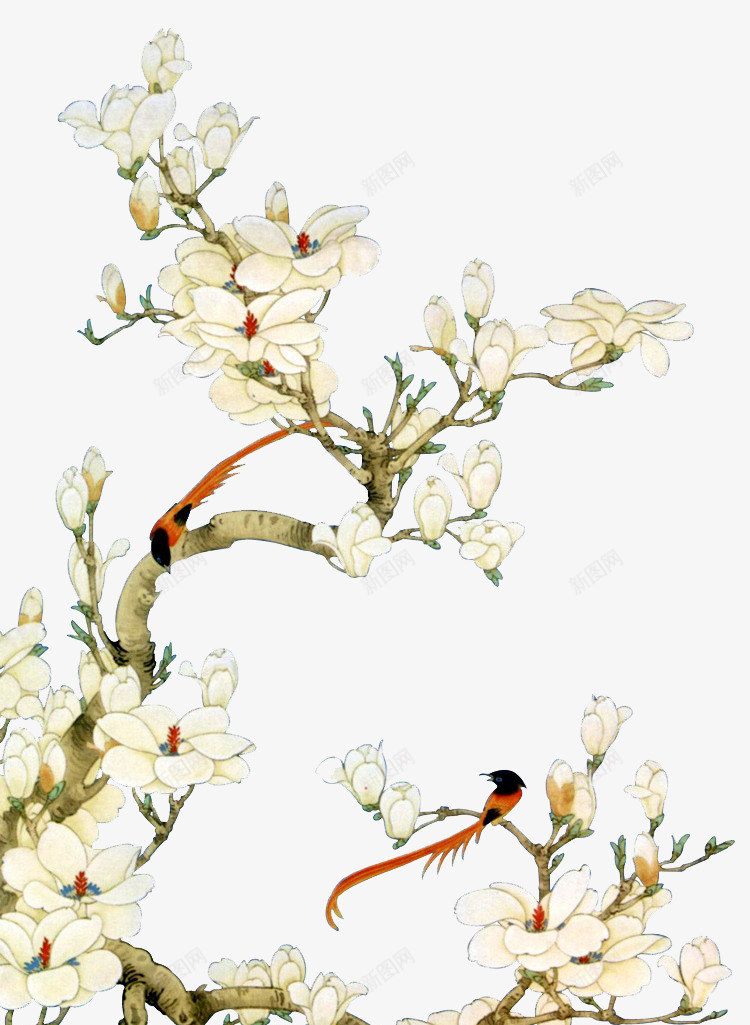 中国风白色花鸟装饰png免抠素材_新图网 https://ixintu.com 中国风 古风 手绘 白色 花 装饰 鸟