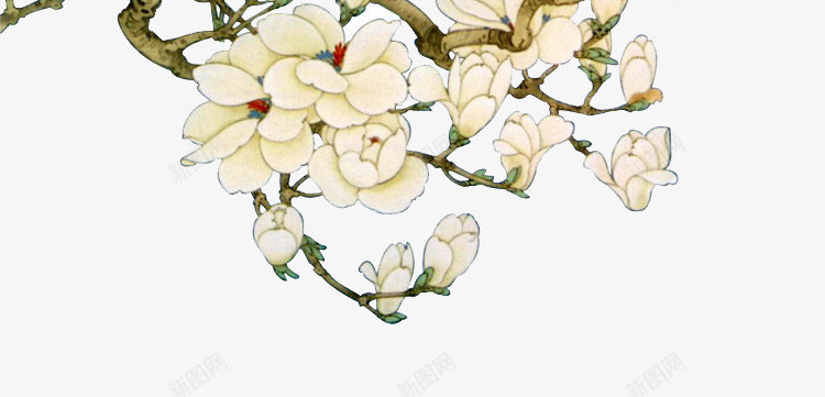 中国风白色花鸟装饰png免抠素材_新图网 https://ixintu.com 中国风 古风 手绘 白色 花 装饰 鸟