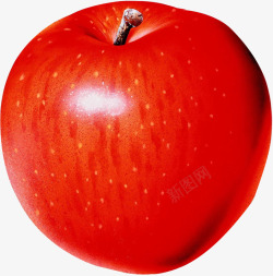 小苹果红色迷你小苹果高清图片