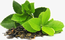 绿色茶叶铁罐绿色树叶茶叶高清图片