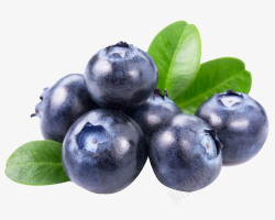 酸甜的小小蓝莓新鲜高清图片