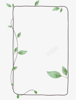 植物相框树藤相框高清图片