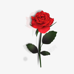 情人节礼物图片玫瑰花矢量图高清图片