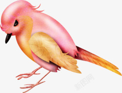 扁平化可爱小鸟手绘粉色百灵鸟高清图片