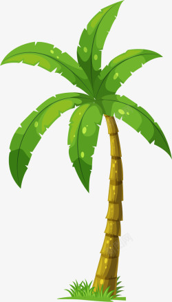 椰子树手绘嫩绿的椰子树高清图片