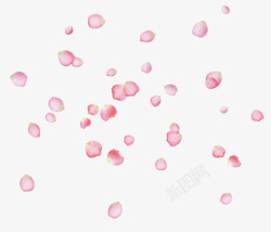 分散花瓣目录分散的玫瑰花瓣高清图片