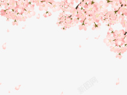 漂亮的桃花漂亮落的桃花高清图片