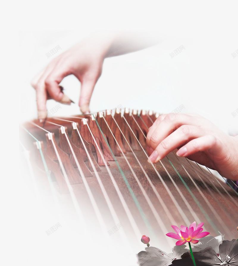 古筝png免抠素材_新图网 https://ixintu.com 中华乐器 传统乐器 古筝 扬琴 双手 弹琴 音乐