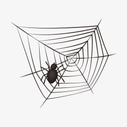 黑色蜘蛛网合成图万圣节恶搞蜘蛛网高清图片
