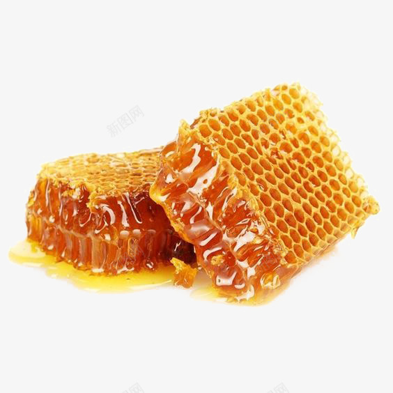 蜂蜜元素png免抠素材_新图网 https://ixintu.com 蜂巢 蜂王浆 蜂窝 蜂窝免扣元素 蜂蜜免扣PNG 蜜蜂 蜜蜂窝