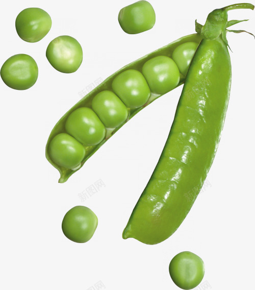 豌豆png免抠素材_新图网 https://ixintu.com 产品实物 扁豆 绿色蔬菜 绿色食品 青豆