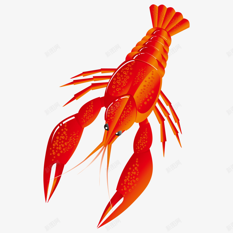 龙虾海鲜png免抠素材_新图网 https://ixintu.com 小龙虾 海鲜 虾 食物 龙虾