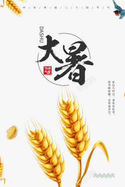 大暑传统节气小麦燕子素材