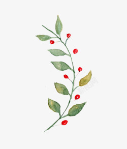 一条树枝手绘插画圣诞节手绘花纹高清图片
