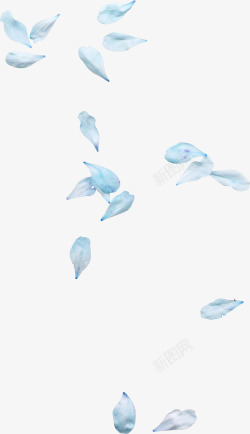 漂浮的花瓣背景蓝色花瓣高清图片