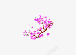 梅花梅花素材