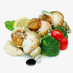 贝类和蔬菜素材
