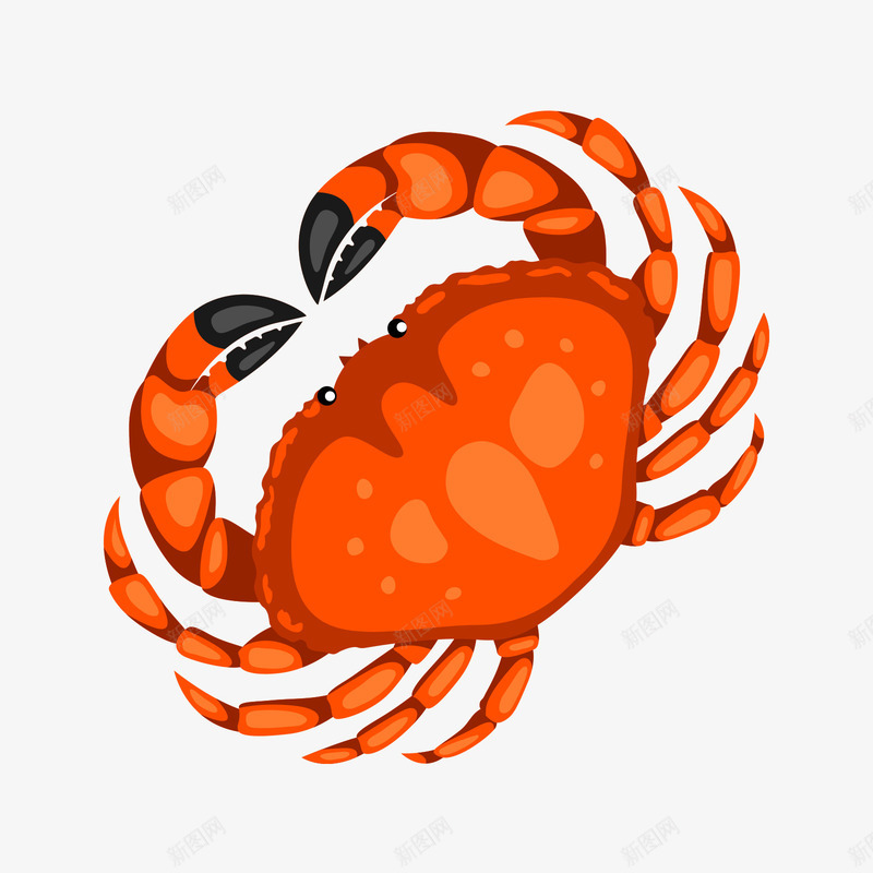 红色的螃蟹矢量图ai免抠素材_新图网 https://ixintu.com 日常 海鲜 红色 红色螃蟹 螃蟹 食物 黑色 矢量图