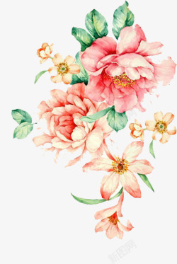 中国风牡丹花手绘花朵高清图片