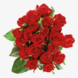 红色小花一束玫瑰花高清图片