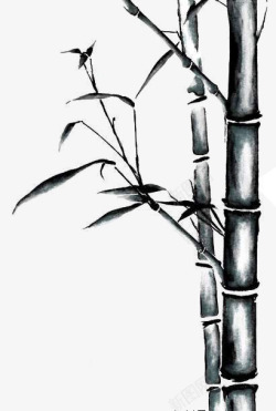 竹子竹叶手绘竹素材